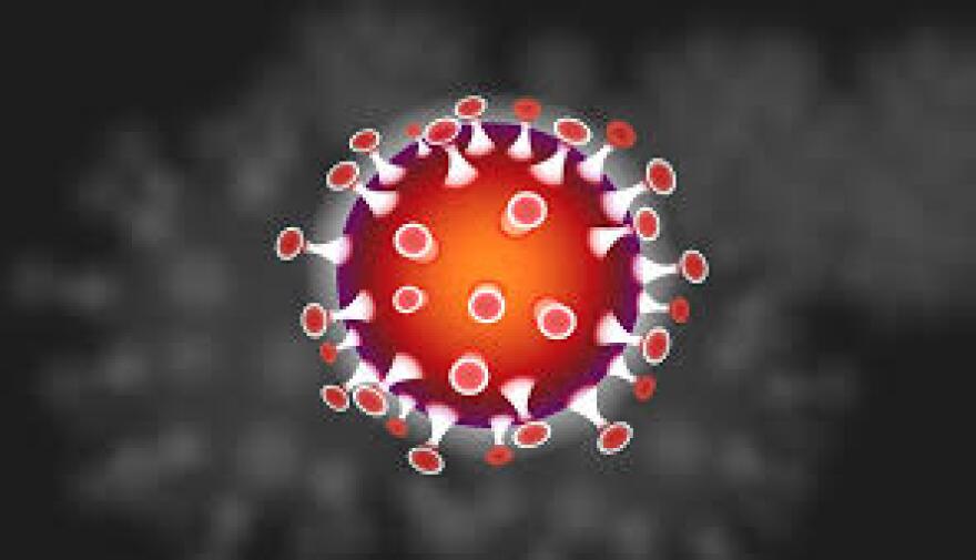 Coronavirus_0.jpg