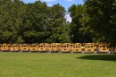Twenty-six Winston-Salem/Forsyth County school bus drivers stayed home from work on Monday, Dec. 2, 2024, in protest over safety conditions and pay. AMY DIAZ/WFDD