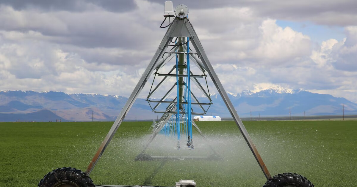 Some Oregon irrigators could get shut off as drought persists