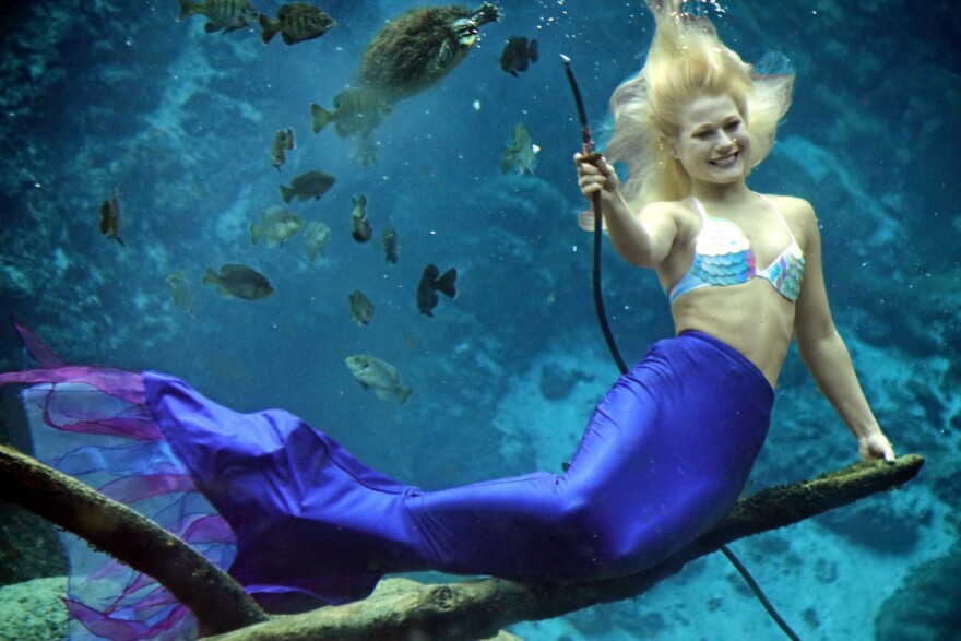 On Jan. 12, 2023, Weeki Wachee Springs State Park will unveil 28 mermaid statues to celebrate its anniversary, in an exhibition called Destination Mermaid: The Tail Trail.