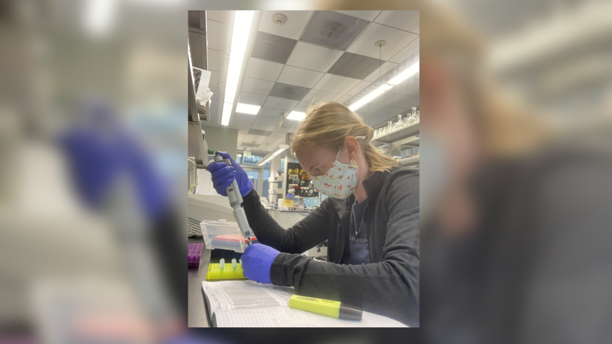 Christa Seidl is conducting laboratory work analyzing blood samples of birds to look for avian malaria.
