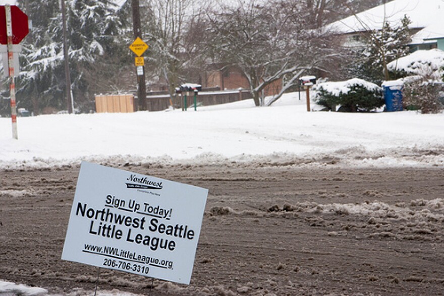 A sign of spring amidst the January snow in Northgate. 1/18/2012