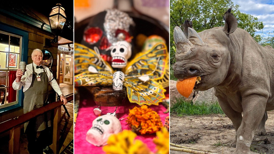 (From left) Street Alive at the Milwaukee Public Museum, Dia de Los Muertos at Walker’s Point Center for the Arts and Boo at the Zoo.