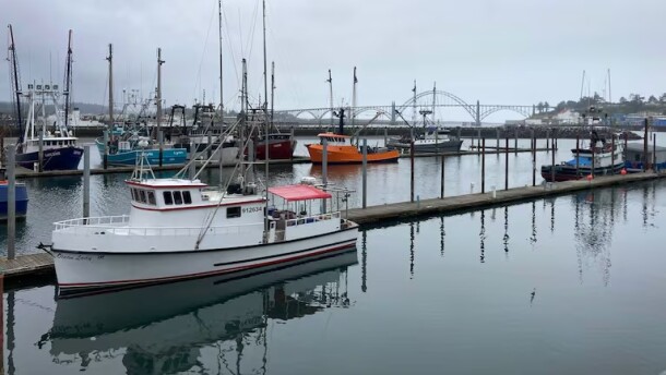 Newport's Dock 5 is home to one of the state's largest commercial fishing fleets, pictured here on May 2, 2025.