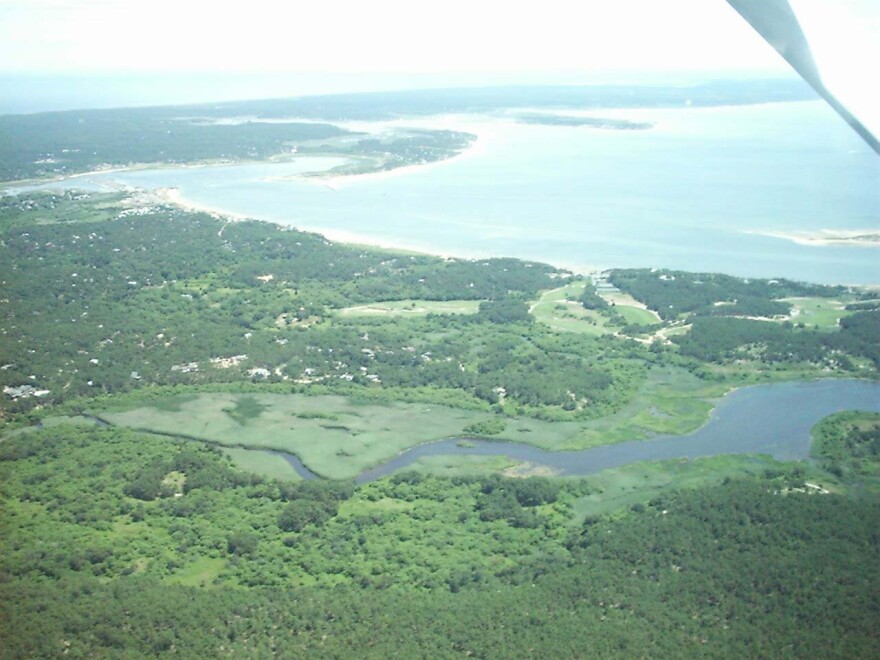 herring_river.jpg