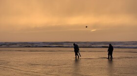Beautiful shot of the Pacific Northwest