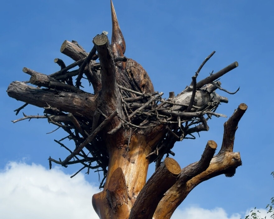 A carved wooden bird sits in a next atop a tree