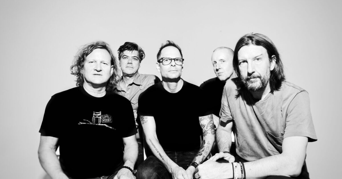 Downtown Rocks Gin Blossoms