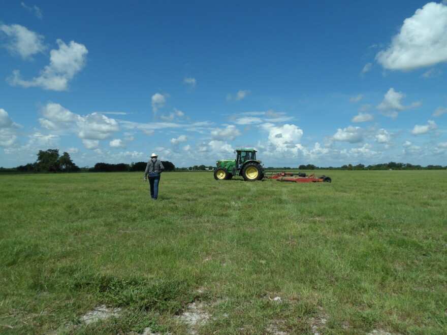 Newt Keen walks toward a tractor while it mows a large field on his DeSoto County ranch.