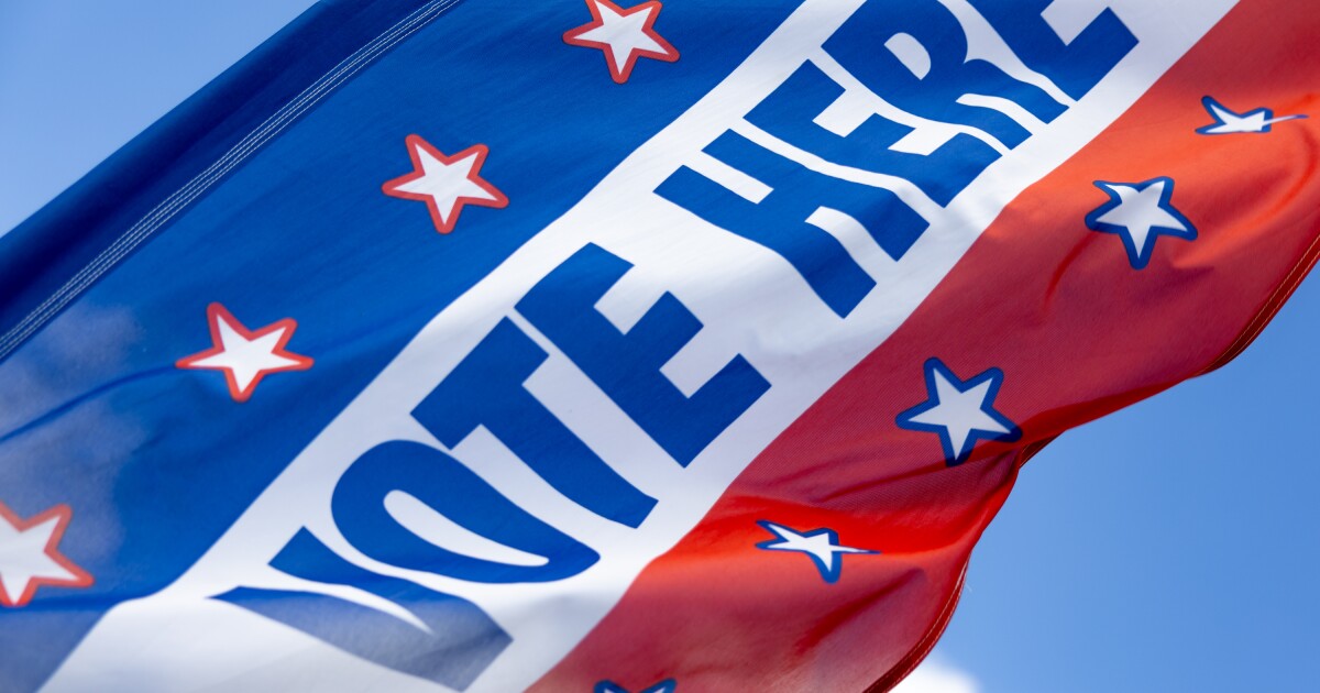 North Texas voters head to the polls Saturday. Here are some Mid-Cities elections taking place