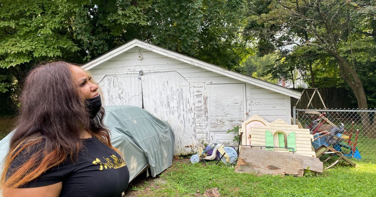 Charlotte�s Declining Tree Canopy Hides Years Of Loss In