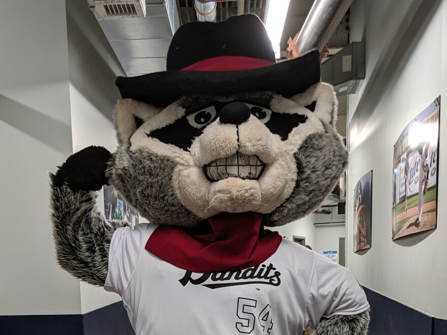 Mascots For Rivers This Baseball Mascot Was Struck Out By The Coronavirus Pandemic ...