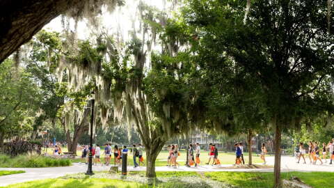 Photo from the University of Florida campus in Gainesville, Florida.