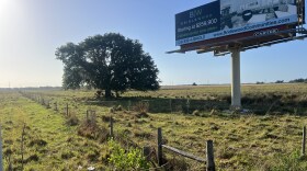 A billboard on a vacant community development district in Arcadia advertises houses that never came.