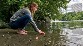 Clare Kelley practices "forest bathing" along the edge of an urban forest on Roosevelt Island, in the middle of the Potomac River. In contrast to hiking, forest bathing is less directed, melding mindfulness and nature immersion to improve health.