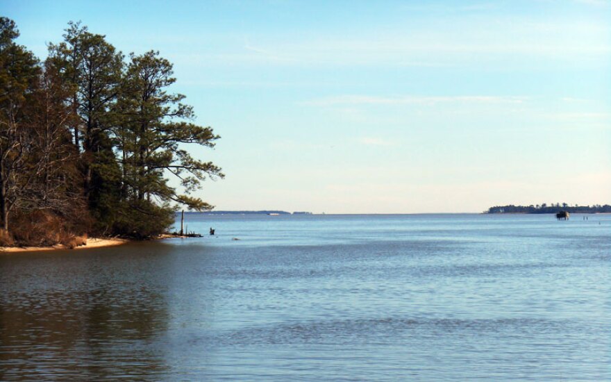 A recent study found 98% of rivers like the James are contaminated with man-made chemicals collectively known as PFAS. They are linked to many health problems in humans and do not degrade naturally in the environment.