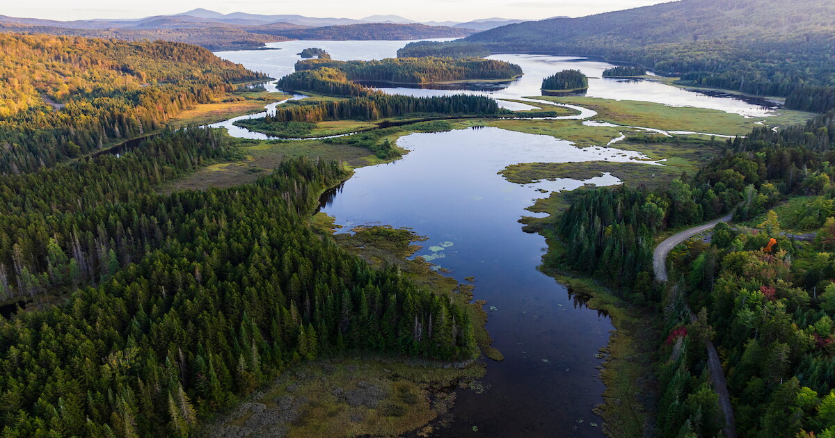 Western Maine conservation project offers 'ecologically important' reprieve for wildlife