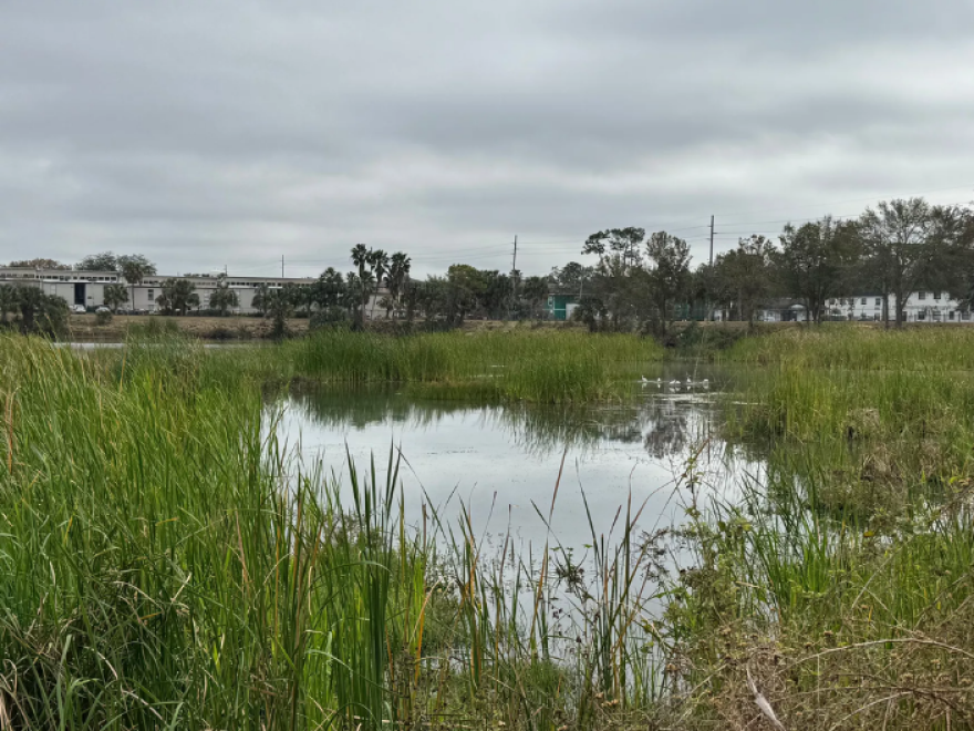 Pasto verde pantanoso que rodea un pequeño lago con casas blancas y grises al fondo. El cielo está gris y nublado.