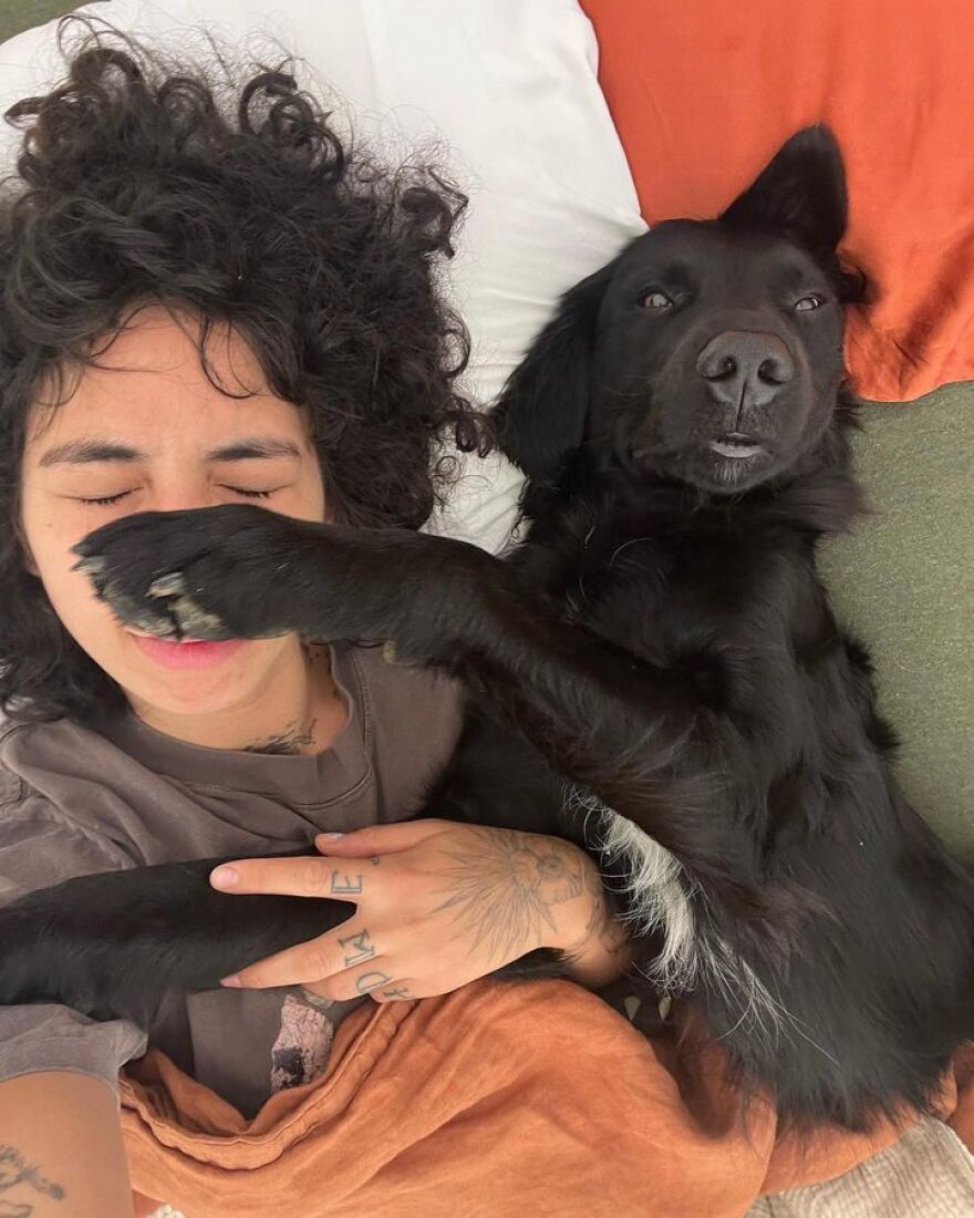 A woman and a dog lie in a bed, with the dog's paw across the woman's face as she squints her eyes shut.