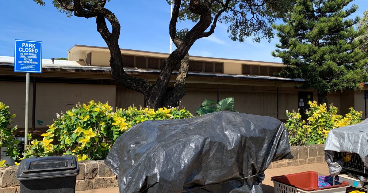 The Conversation Perspectives On Honolulu S Homeless Sweeps Hawai I Public Radio