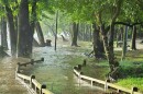 Photo of flooding in West Columbia, South Carolina.