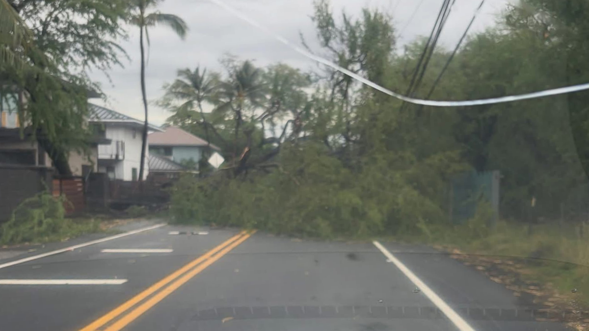 'Kaʻū people are so resilient,' resident updates on district's recovery