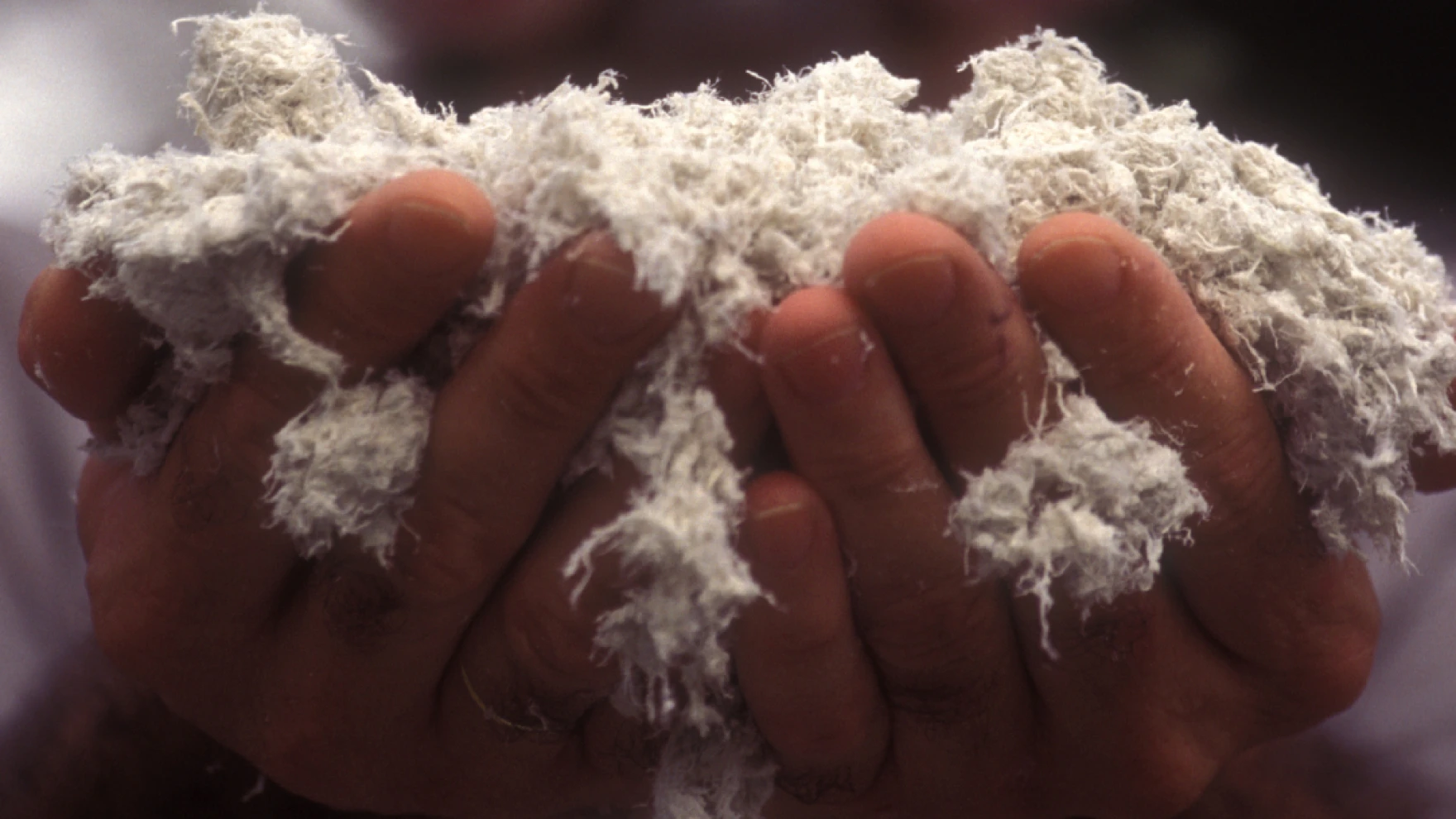 North Carolina corporate legal battle takes significant turn for families affected by asbestos