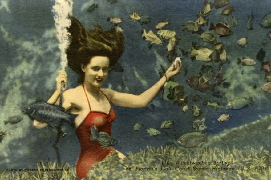 A mermaid performs at Weeki Wachee in this postcard from 1949.