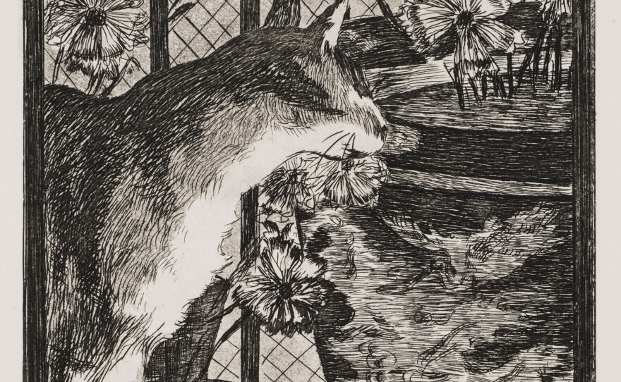 Édouard Manet, Le Chat et les fleurs (Cat and Flowers), 1969. Etching and aquatint on paper. Wadsworth Atheneum Museum of Art, Bequest of Edward Gorey, 2001.13.52.