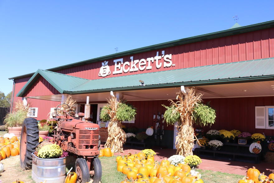 Eckert's Orchard in Versailles has been open to visitors under various names since the 1970s, seen on October 6, 2026. It has a country store at the entrance where patrons can by apple and other seasonal delights.