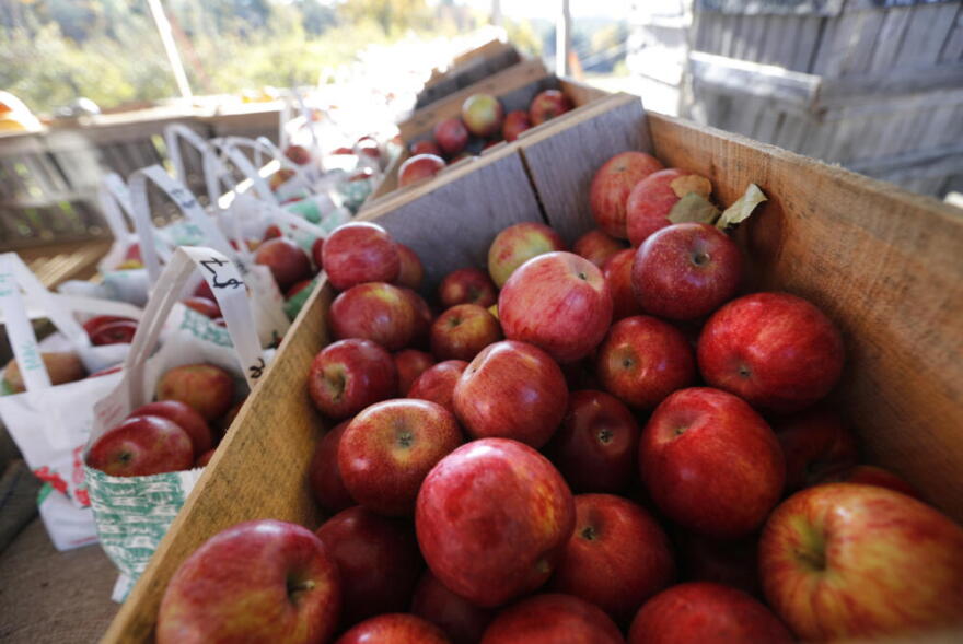 Apples are displayed for sale at the Apple Acres orchard, in Hiram, Maine. (Robert F. Bukaty/AP)