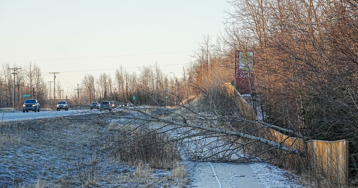 Thousands of Mat-Su residents still without power as community reels from hurricane-force winds