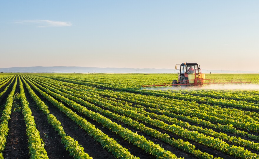 Tractor spraying soybean field at spring