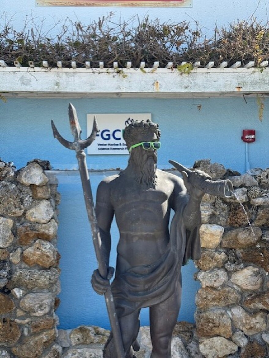 "Broseidon," a statue of Greek god of the sea Poseidon, managed to keep the green plastic sunglasses that has adorned his face for several years, despite hurricanes Ian, Milton and Helene. The statue stands on the grounds of FGCU's Vester Marine & Environmental Research Field Station on Bonita Beach Road.