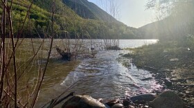 Spring continues down the Colorado River as the weather warms up, heading toward the Lower Basin.