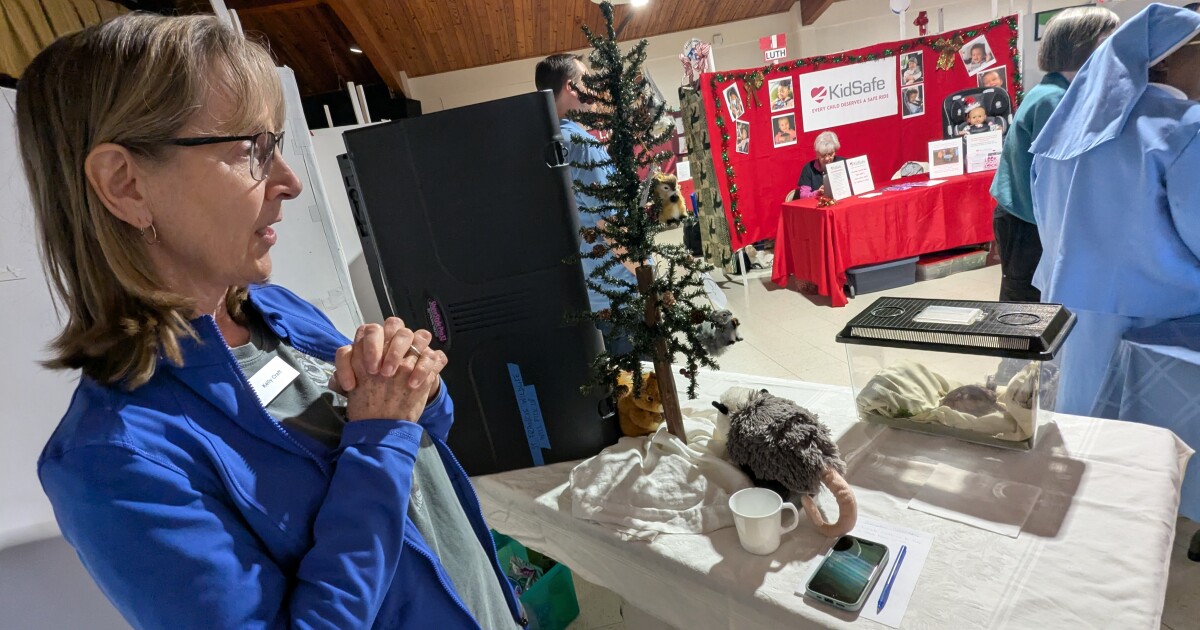 Alternative Christmas Market meets charitable needs at home and abroad