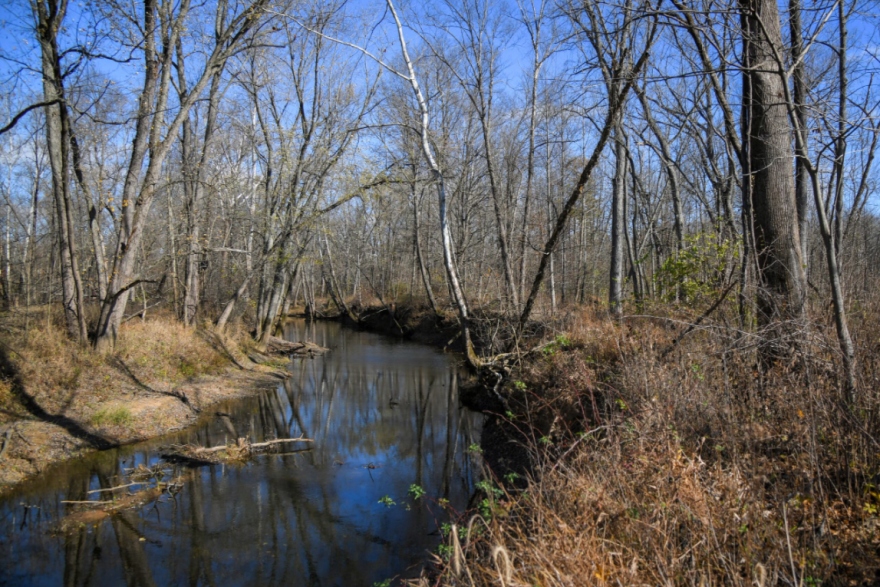 The Indiana Department of Natural Resources hopes to open the new Busseron Creek Fish and Wildlife Area to the public in April 2025.
