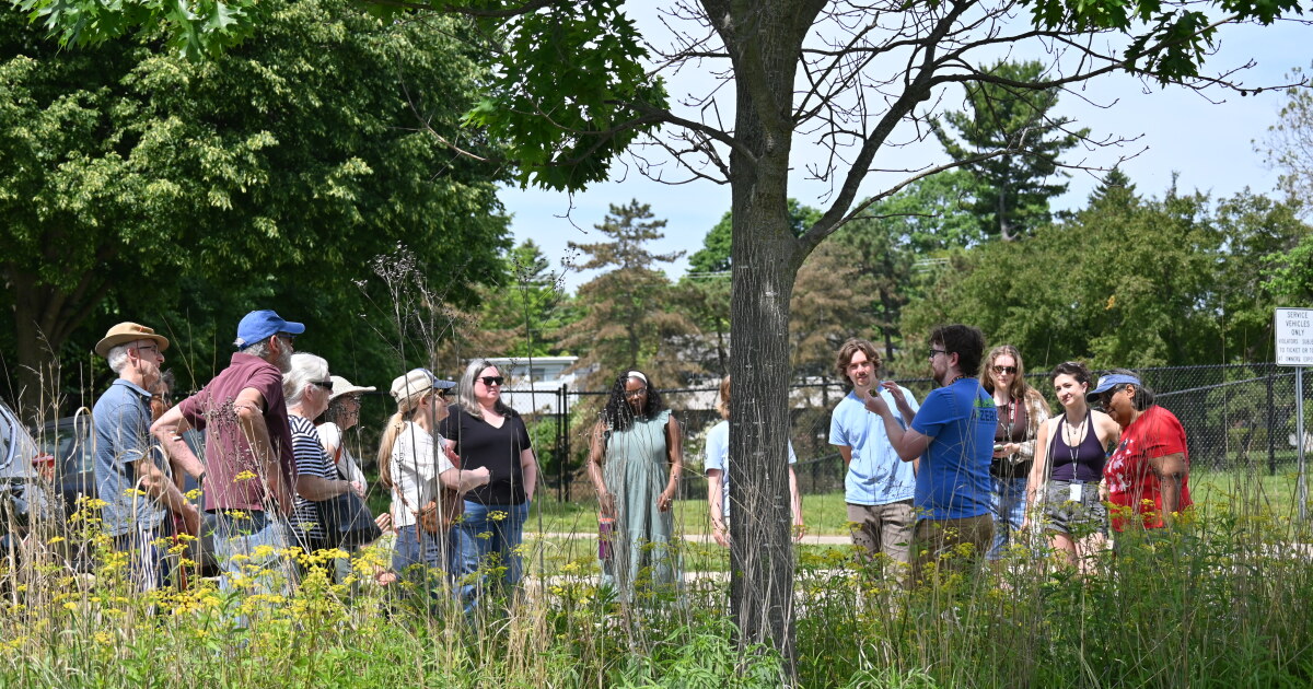 History of trees explored in Ann Arbor collaborative series
