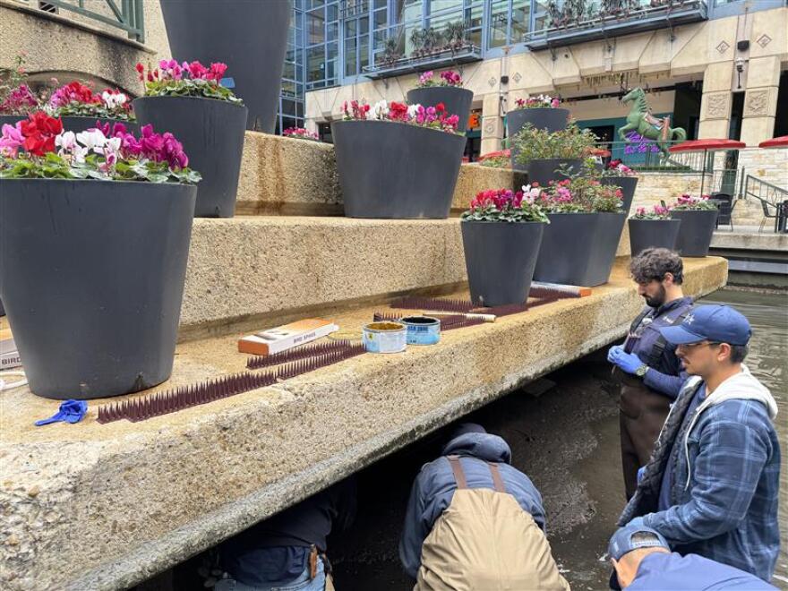 A crew from the San Antonio River Authority working in the River Walk loop area during the draining.