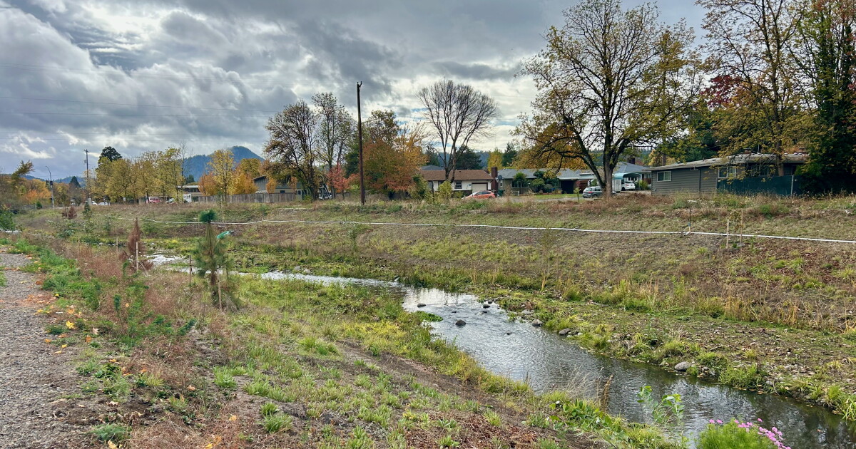 City of Eugene fined for polluting Amazon Creek during restoration