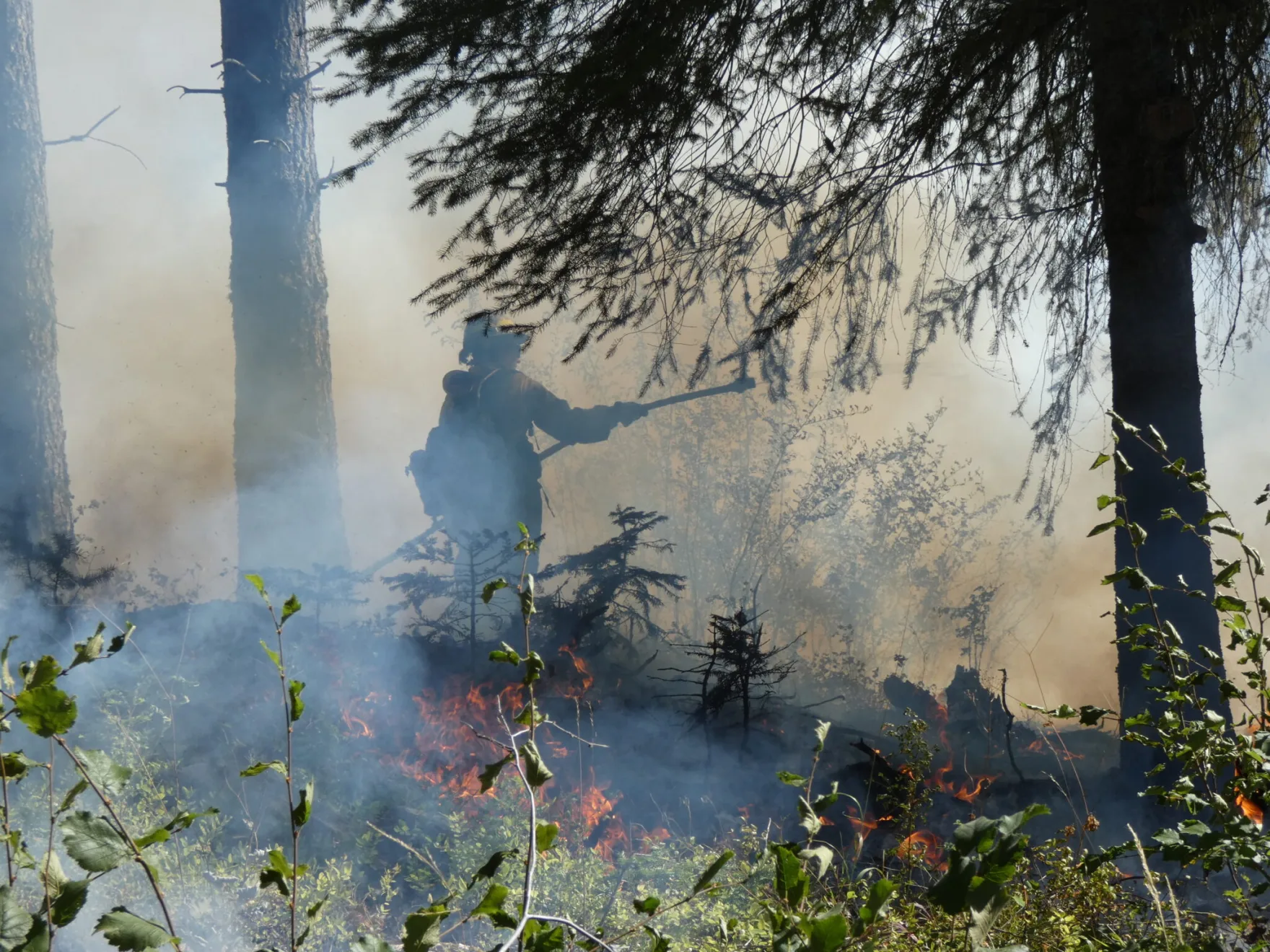 Prescribed burns in Roslyn ‘move the needle’ against wildfires