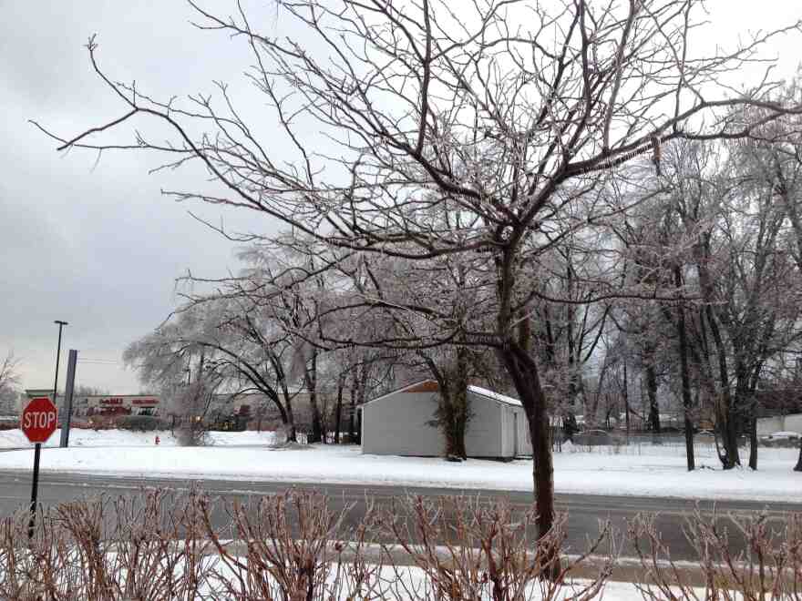 snow_0.jpg