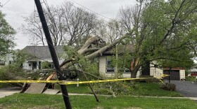 A house is surrounded by caution tape after a large tree fell on it, dislodging and buckling a residential sidewalk.