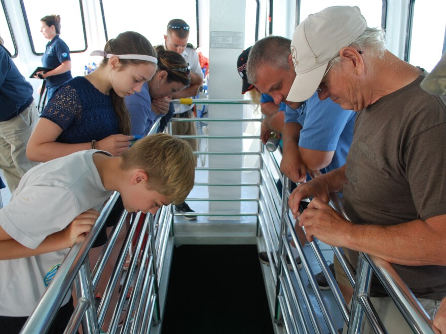 Passengers aboard the Lady Michigan peering through its glass bottom in hopes of spotting one of the area's many shipwrecks.
