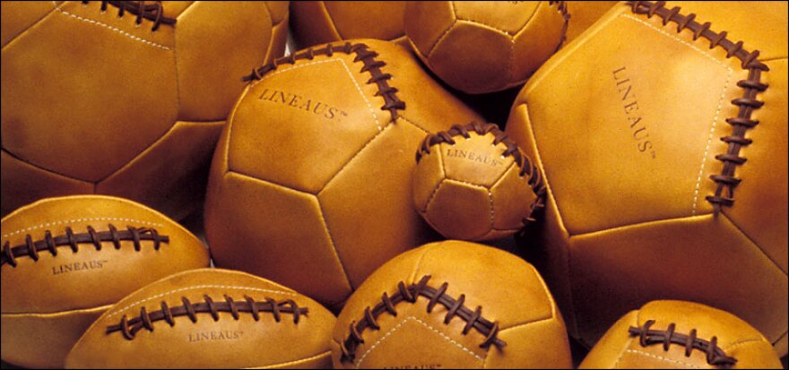 lineaus-medicine-balls