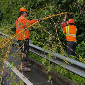 Honolulu crew clearing downed and leaning trees on Pali Highway Kailua-bound Monday morning. (Sept. 7, 2026)