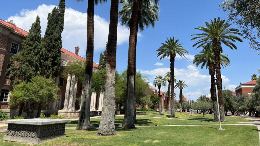 UA Date Palms 2