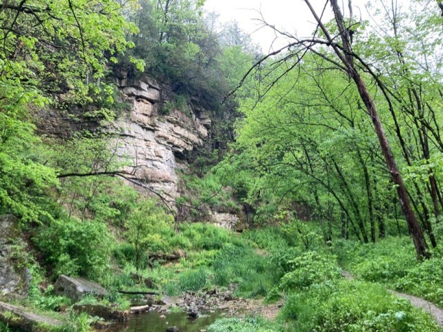 A cliff at Beaver Creek Valley State Park