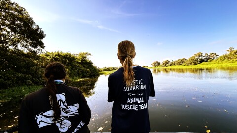 Sarah Callan is the manager of the animal rescue program at Mystic Aquarium. She and her team traveled to Colombia twice last year to contribute to a global effort focused on sea turtle conservation. Callan said she and her team are set to go on two more trips this year to continue the knowledge exchange between teams. Looking further ahead, Callan said she'd like to welcome the teams in Colombia to Mystic Aquarium one day. "I think that would be a really great exchange, and they can see what we do at our facilities and learn from each other that way as well," Callan said.