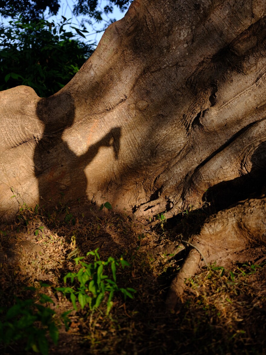 Jorge Sambu is a "balobera," whose job is to guard the sacred forest and help organize when meetings and initiations can be held, near in Arame, Guinea-Bissau, on Dec. 22, 2020.